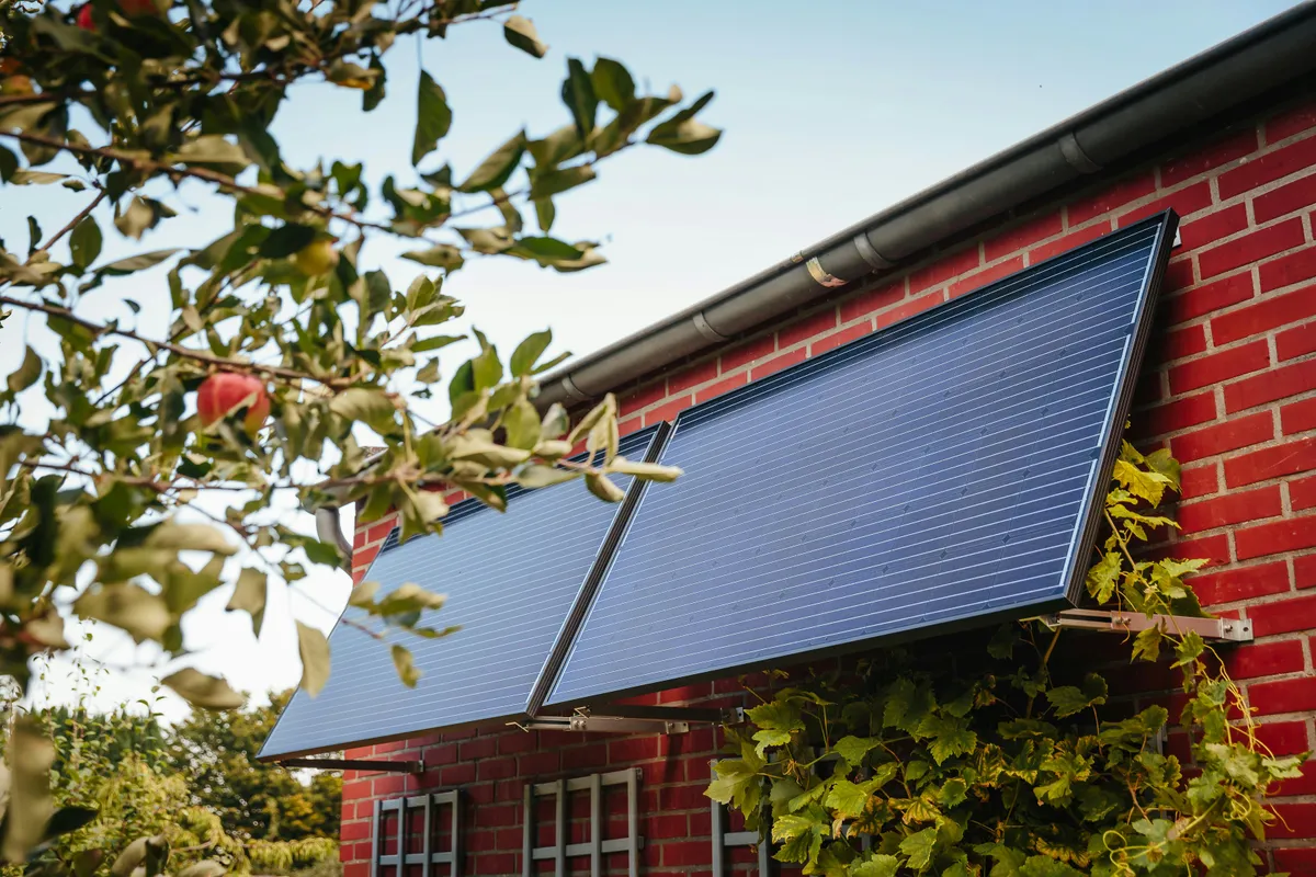 Two solar panels mounted on a red brick wall, partly shaded by apple tree branches