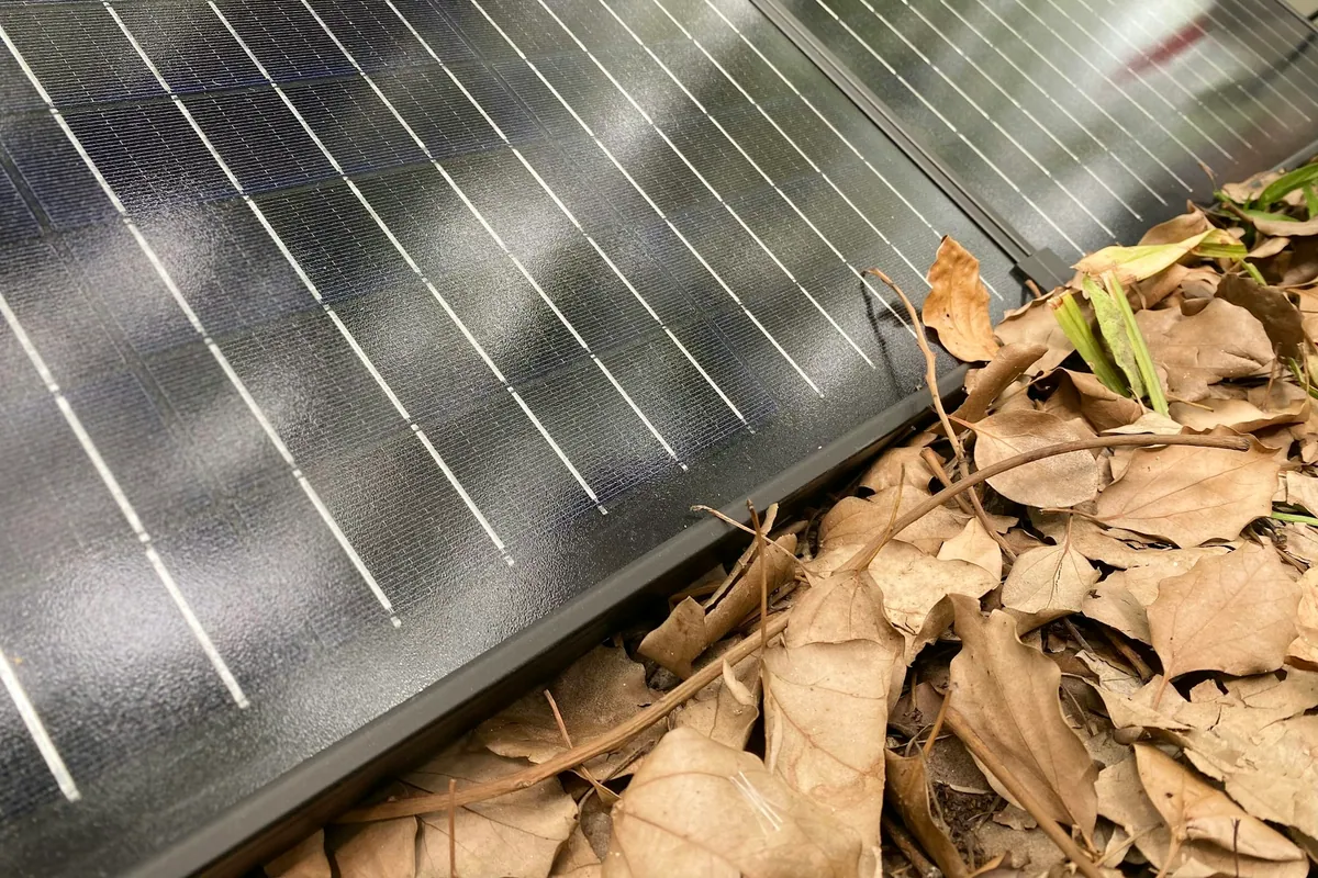 Dry leaves piled against the lower edge of a solar panel, with sunlight streaking across its cells