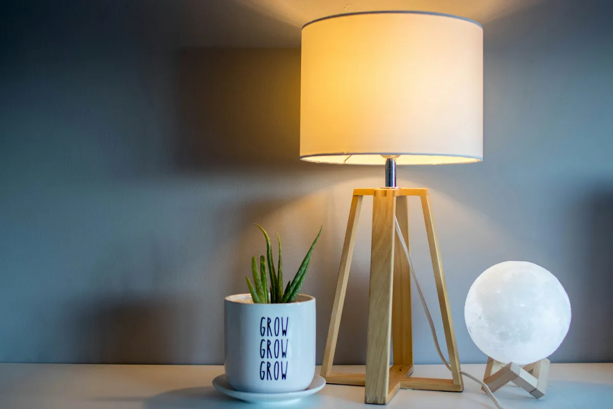 Warm table lamp glowing beside a small plant and a moon lamp